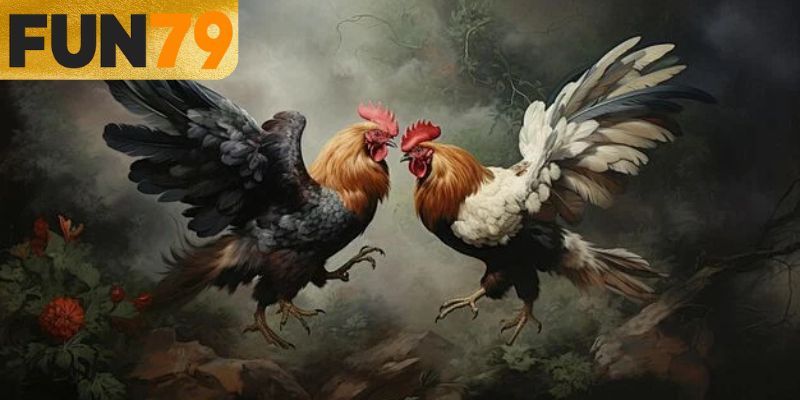 Đá gà 988 duy trì sức hút lâu dài