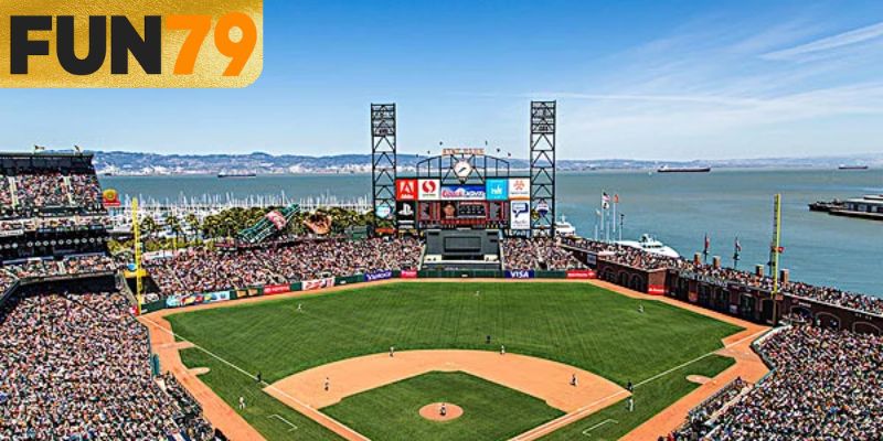 Dự đoán thể thao UFC theo dữ liệu lớn